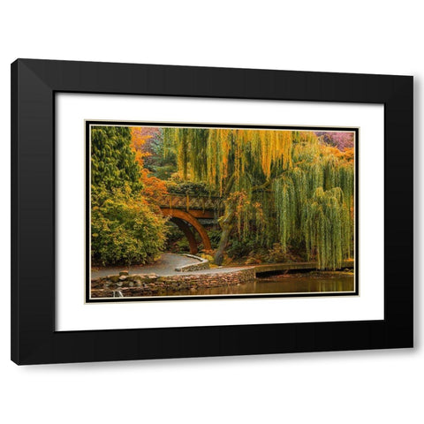 Willows Over the Pond Black Modern Wood Framed Art Print with Double Matting by Schwartz, Don