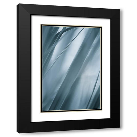 Blades of Grass  Black Modern Wood Framed Art Print with Double Matting by Schwartz, Don