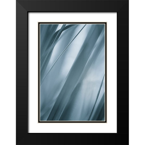 Blades of Grass  Black Modern Wood Framed Art Print with Double Matting by Schwartz, Don