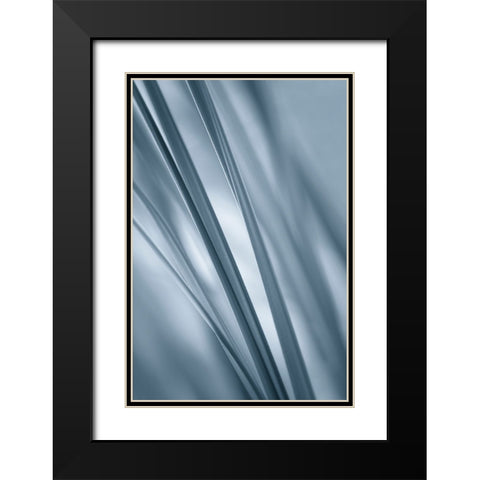 Slanting  Black Modern Wood Framed Art Print with Double Matting by Schwartz, Don