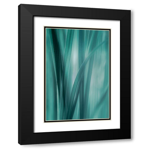 Summer Grasses  Black Modern Wood Framed Art Print with Double Matting by Schwartz, Don