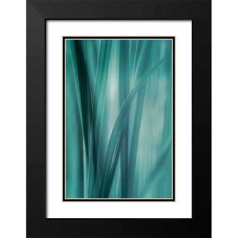 Summer Grasses  Black Modern Wood Framed Art Print with Double Matting by Schwartz, Don