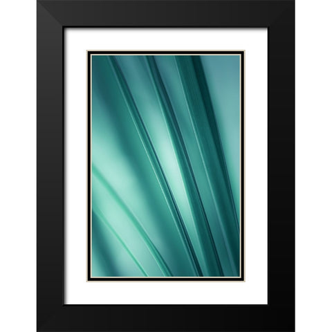 Tilting Blades  Black Modern Wood Framed Art Print with Double Matting by Schwartz, Don