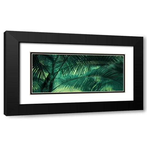 A Sunkissed Palms Black Modern Wood Framed Art Print with Double Matting by Schwartz, Don