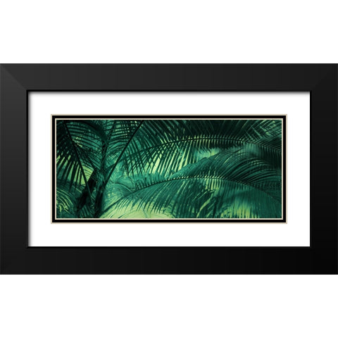 A Sunkissed Palms Black Modern Wood Framed Art Print with Double Matting by Schwartz, Don