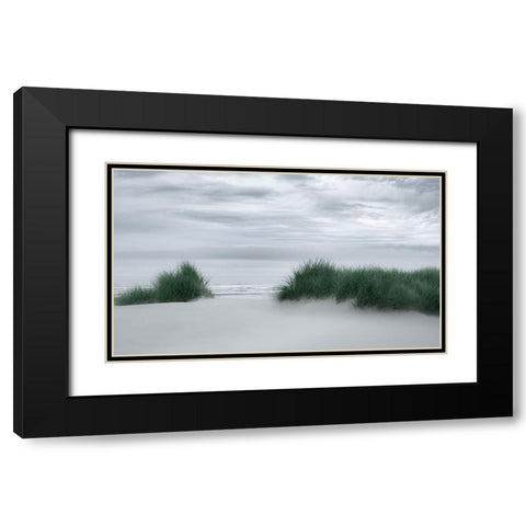 View Through the Dune Grasses Black Modern Wood Framed Art Print with Double Matting by Schwartz, Don