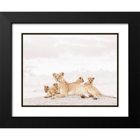 Proud Lioness  Black Modern Wood Framed Art Print with Double Matting by Tiedge
