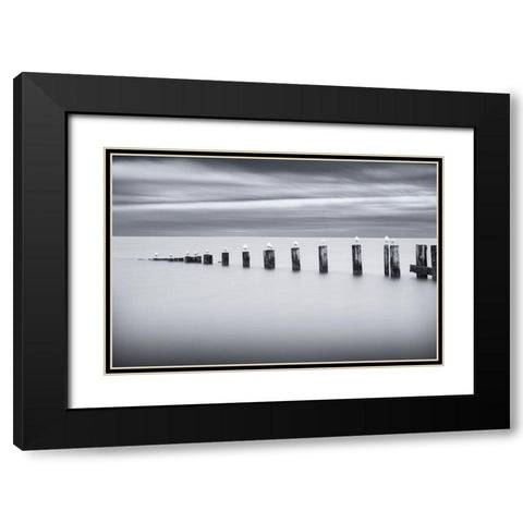 Stilts and Gulls Black Modern Wood Framed Art Print with Double Matting by Tennant, Chris
