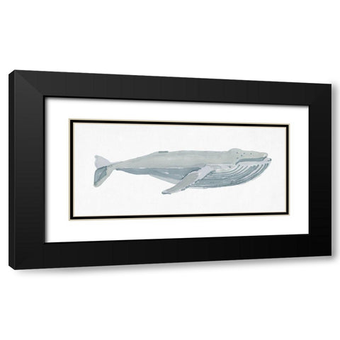 Humpback Whale I Black Modern Wood Framed Art Print with Double Matting by Stellar Design Studio