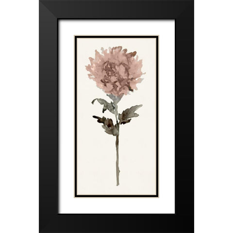 Flourishing Floral IV   Black Modern Wood Framed Art Print with Double Matting by Stellar Design Studio