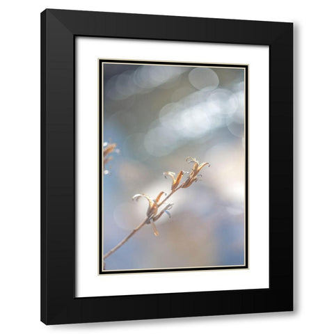 Spring Branch I  Black Modern Wood Framed Art Print with Double Matting by J:L Design