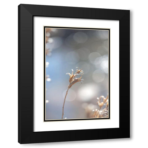 Spring Branch II Black Modern Wood Framed Art Print with Double Matting by J:L Design