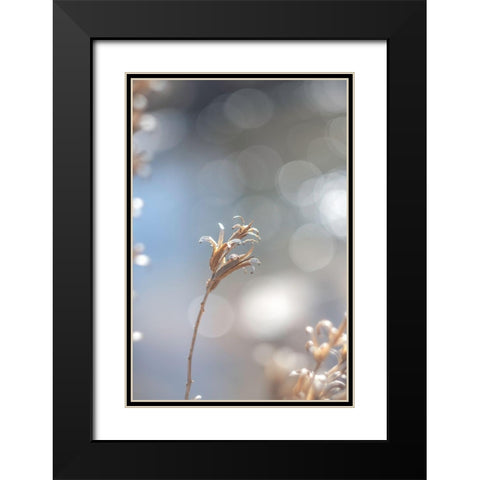 Spring Branch II Black Modern Wood Framed Art Print with Double Matting by J:L Design