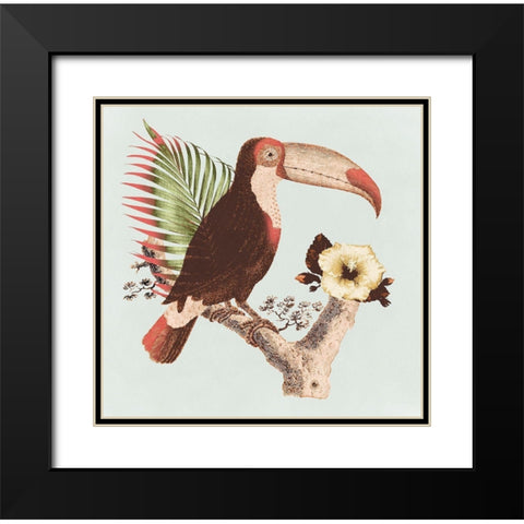 Tropical Toucan Black Modern Wood Framed Art Print with Double Matting by Surma