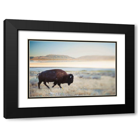 Bison in the Field  Black Modern Wood Framed Art Print with Double Matting by Victoria, Chelsea