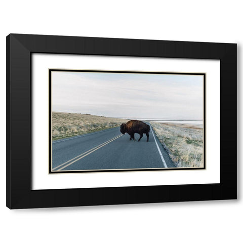 Bison Crossing  Black Modern Wood Framed Art Print with Double Matting by Victoria, Chelsea