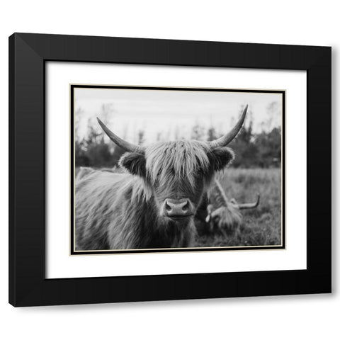Cattle Smile  Black Modern Wood Framed Art Print with Double Matting by Kedron, Chelsea