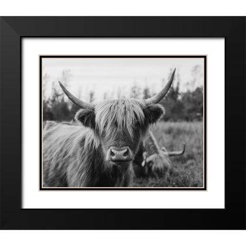 Cattle Smile  Black Modern Wood Framed Art Print with Double Matting by Kedron, Chelsea