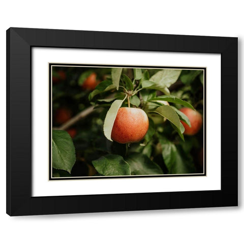 The Red Apple  Black Modern Wood Framed Art Print with Double Matting by Kedron, Chelsea