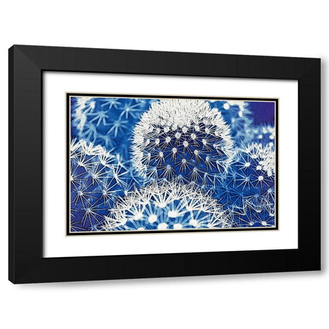 Blue and Prickly I Black Modern Wood Framed Art Print with Double Matting by Vincze
