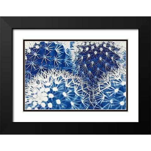 Blue and Prickly II  Black Modern Wood Framed Art Print with Double Matting by Vincze