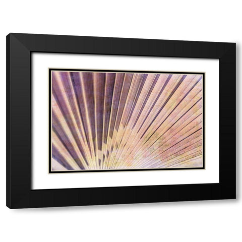 Palm Leaf Elements II Black Modern Wood Framed Art Print with Double Matting by Vincze