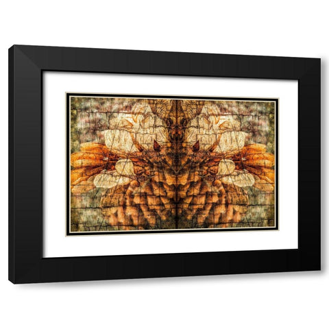 Autumnal Spirit I Black Modern Wood Framed Art Print with Double Matting by Vincze