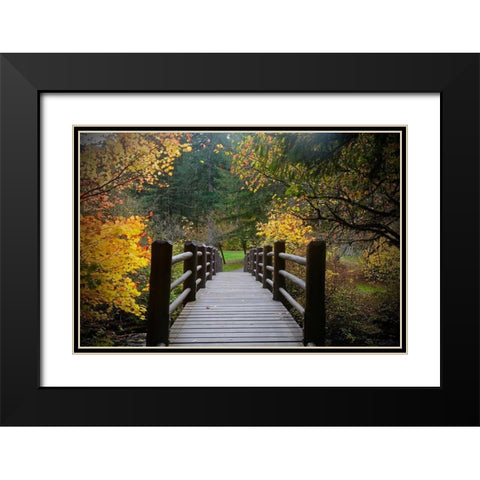 Autumns Bridge  Black Modern Wood Framed Art Print with Double Matting by Susan Vizvary Photography