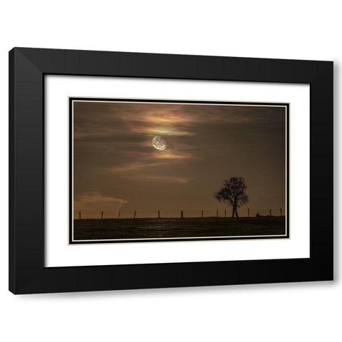 Moon Tree Black Modern Wood Framed Art Print with Double Matting by Nocturna