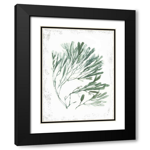 Emerald Coral II  Black Modern Wood Framed Art Print with Double Matting by Wilson, Aimee