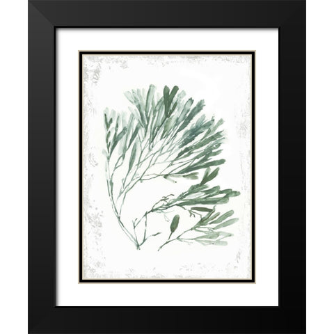 Emerald Coral II  Black Modern Wood Framed Art Print with Double Matting by Wilson, Aimee