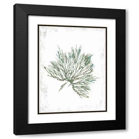 Emerald Coral III  Black Modern Wood Framed Art Print with Double Matting by Wilson, Aimee