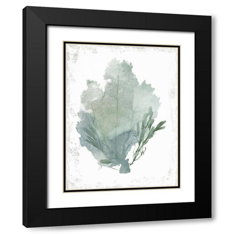 Teal Delicate Coral I  Black Modern Wood Framed Art Print with Double Matting by Wilson, Aimee