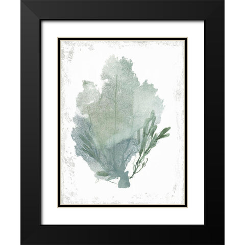 Teal Delicate Coral I  Black Modern Wood Framed Art Print with Double Matting by Wilson, Aimee