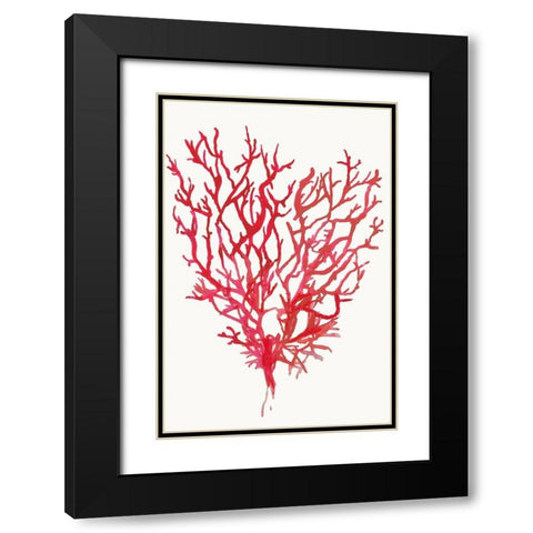 Red Reef Coral II  Black Modern Wood Framed Art Print with Double Matting by Wilson, Aimee