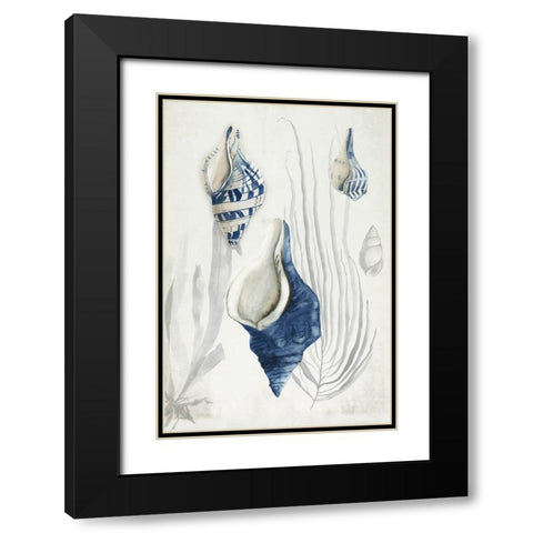 Antique Shells I  Black Modern Wood Framed Art Print with Double Matting by Wilson, Aimee