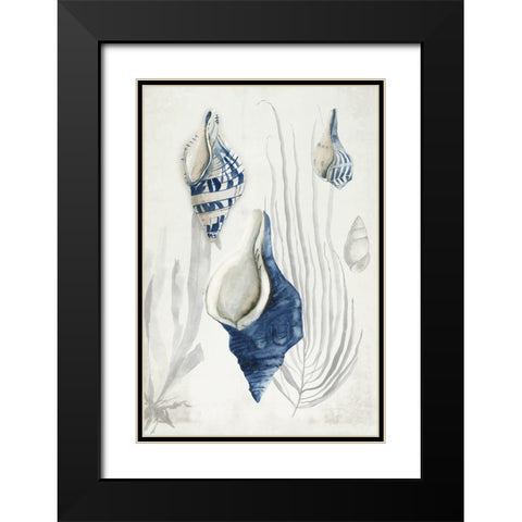 Antique Shells I  Black Modern Wood Framed Art Print with Double Matting by Wilson, Aimee