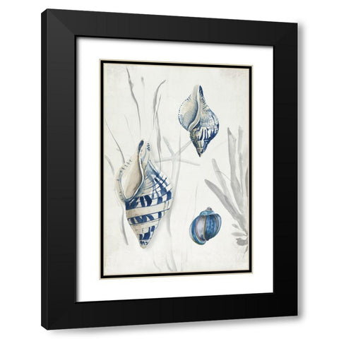 Antique Shells II Black Modern Wood Framed Art Print with Double Matting by Wilson, Aimee