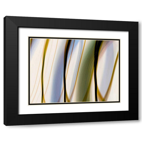 Silk Waves I Black Modern Wood Framed Art Print with Double Matting by Cooke, William
