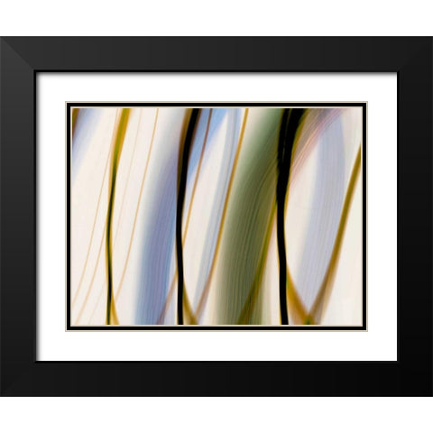 Silk Waves I Black Modern Wood Framed Art Print with Double Matting by Cooke, William