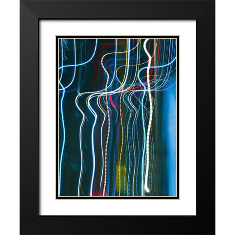 Stems I Black Modern Wood Framed Art Print with Double Matting by Cooke, William