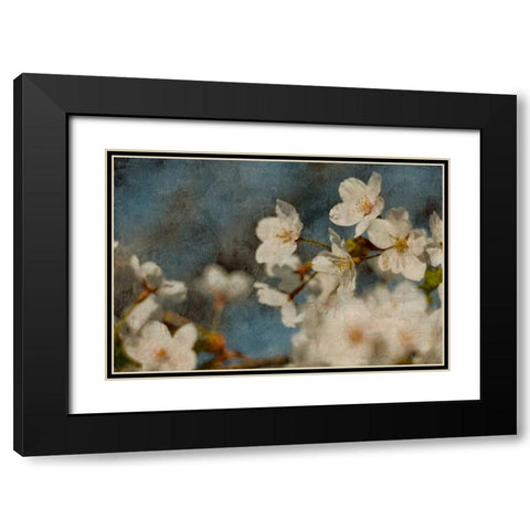 Early Dew Black Modern Wood Framed Art Print with Double Matting by Cooke, William