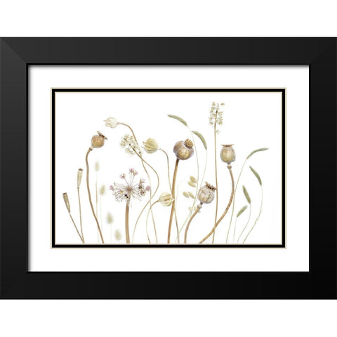 PODS Black Modern Wood Framed Art Print with Double Matting by Disher