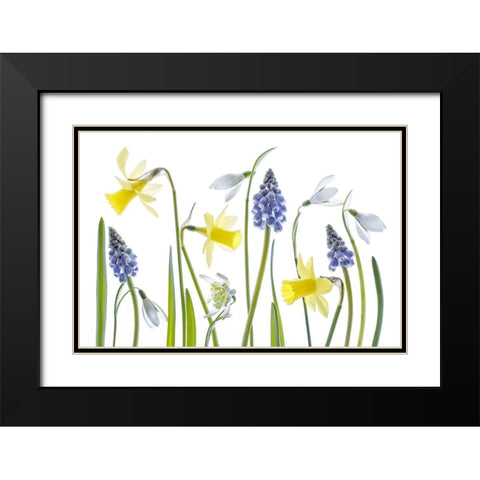 Spring Black Modern Wood Framed Art Print with Double Matting by Disher