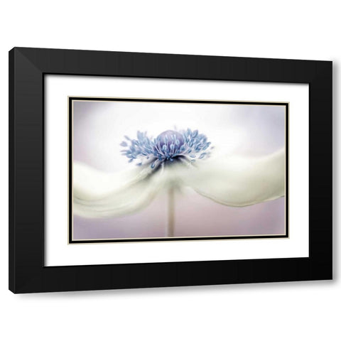 Disher - Anemone Black Modern Wood Framed Art Print with Double Matting by 1x
