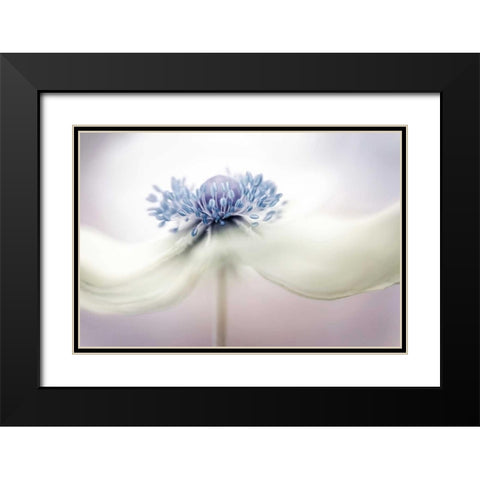 Disher - Anemone Black Modern Wood Framed Art Print with Double Matting by 1x