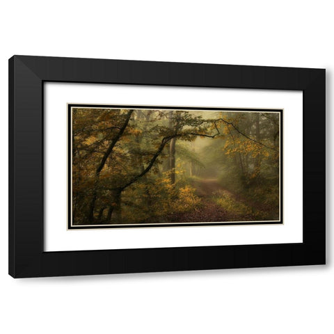 Maier - A Sorrow Beyond Dreams  Black Modern Wood Framed Art Print with Double Matting by 1x