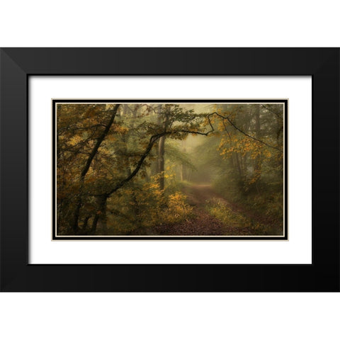 Maier - A Sorrow Beyond Dreams  Black Modern Wood Framed Art Print with Double Matting by 1x