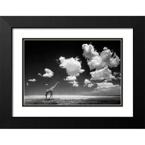 Ghizzi Panizza -Gone with the Clouds Black Modern Wood Framed Art Print with Double Matting by 1x