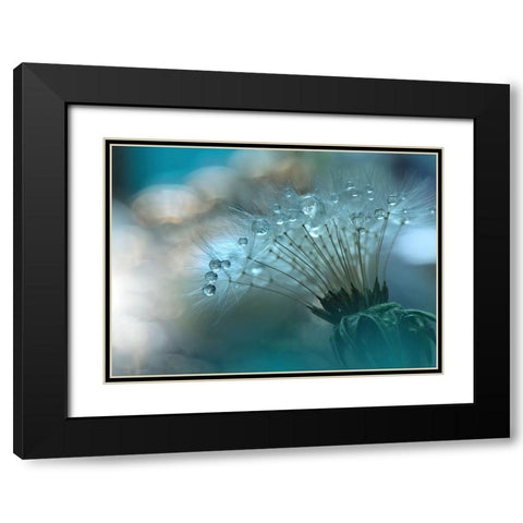 Nan Black Modern Wood Framed Art Print with Double Matting by 1X